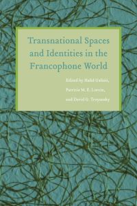Book Cover for Transnational Spaces and Identities in the Francophone World by Hafid Gafaïti, Patricia M E Lorcin, David G Troyansky