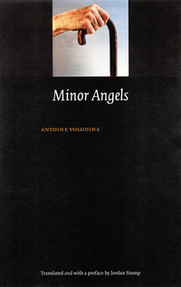 Book Cover for Minor Angels by Antoine Volodine
