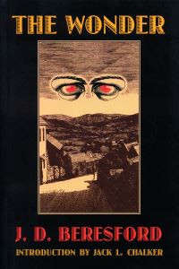 Book Cover for The Wonder by J D Beresford