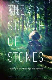 Book Cover for The Solace of Stones by Julie Riddle