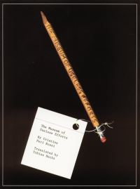Book Cover for The Museum of Useless Efforts by Cristina Peri Rossi