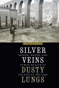 Book Cover for Silver Veins, Dusty Lungs by Rocio Gomez