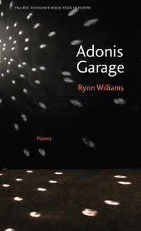 Book Cover for Adonis Garage by Rynn Williams