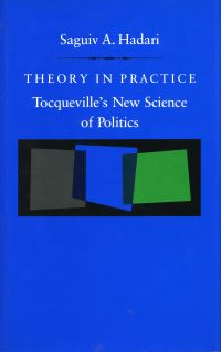 Book Cover for Theory in Practice by Saguiv A Hadari