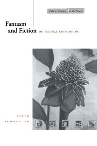 Book Cover for Fantasm and Fiction by Peter Schwenger
