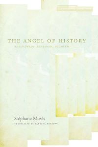 Book Cover for The Angel of History by Stéphane Mosès