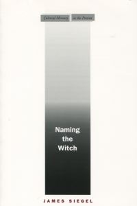 Book Cover for Naming the Witch by James T Siegel