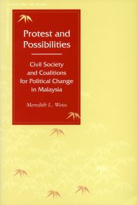 Book Cover for Protest and Possibilities by Meredith L Weiss