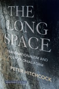 Book Cover for The Long Space by Peter Hitchcock