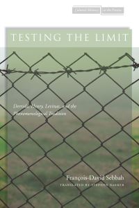 Book Cover for Testing the Limit by FrançoisDavid Sebbah