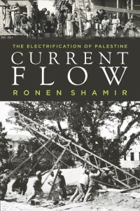 Book Cover for Current Flow by Ronen Shamir