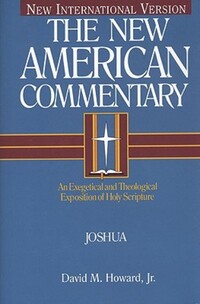 Book Cover for Joshua by David M Howard