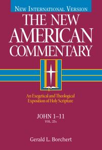 Book Cover for John 1-11 by Gerald L Borchert