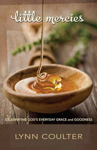 Book Cover for Little Mercies by Lynn Coulter