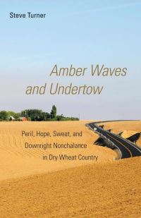 Book Cover for Amber Waves and Undertow by Steve Turner
