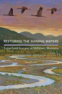 Book Cover for Restoring the Shining Waters by David Brooks