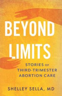 Book Cover for Beyond Limits by Shelley Sella