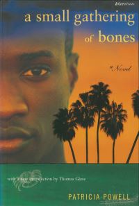 Book Cover for A Small Gathering of Bones by Patricia Powell