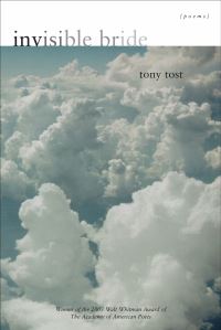 Book Cover for Invisible Bride by Tony Tost