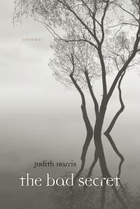 Book Cover for The Bad Secret by Judith Harris