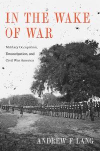 Book Cover for In the Wake of War by Andrew F Lang