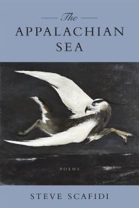 Book Cover for The Appalachian Sea by Steve Scafidi