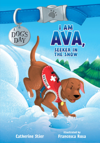 Book Cover for Ava, Seeker in the Snow by Catherine Stier
