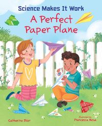 Book Cover for A Perfect Paper Plane by Catherine Stier