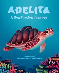 Book Cover for Adelita by Jenny Goebel