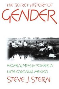 Book Cover for The Secret History of Gender by Steve J Stern