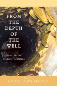 Book Cover for From the Depth of the Well by Ariel Evan Mayse