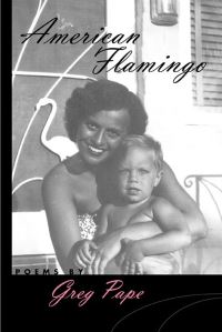 Book Cover for American Flamingo by Greg Pape