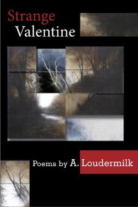 Book Cover for Strange Valentine by A Loudermilk