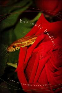 Book Cover for Heavenly Bodies by Cynthia Huntington
