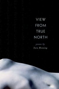 Book Cover for View from True North by Sara Henning