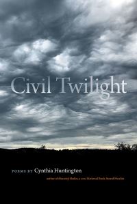 Book Cover for Civil Twilight by Cynthia Huntington