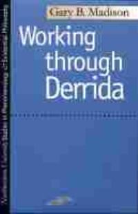 Book Cover for Working Through Derrida by Gary Brent Madison