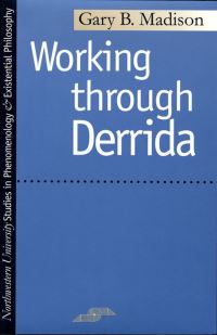 Book Cover for Working Through Derrida by Gary B Madison