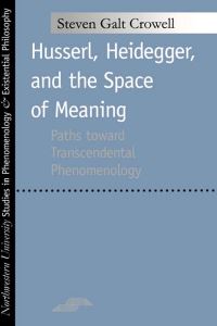 Book Cover for Husserl, Heidegger, and the Space of Meaning by Steven Galt Crowell