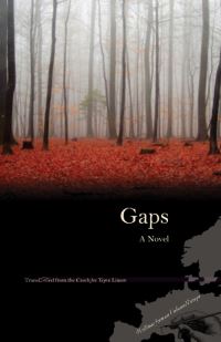 Book Cover for Gaps by Bohumil Hrabal, Tony Liman