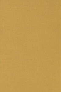 Book Cover for Answering the Ruins by Gregory Fraser