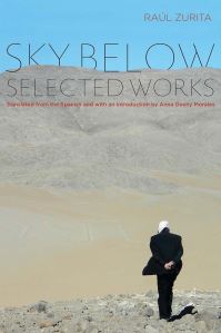 Book Cover for Sky Below by Raúl Zurita