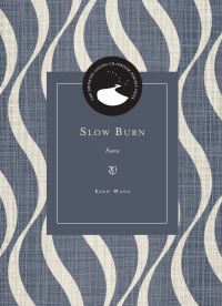 Book Cover for Slow Burn by Evan Wang
