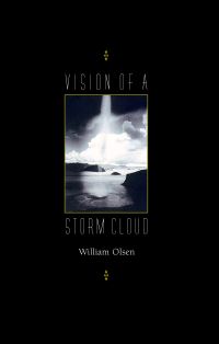 Book Cover for Vision of a Storm Cloud by William Olsen