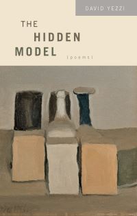 Book Cover for The Hidden Model by David Yezzi