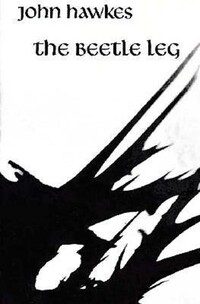 Book Cover for The Beetle Leg by John Hawkes
