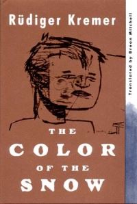 Book Cover for The Color of the Snow by Rüdiger Kremer