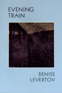 Book Cover for Evening Train by Denise Levertov