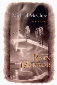 Book Cover for Rain Mirror by Michael McClure