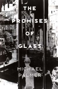 Book Cover for The Promises of Glass by Michael Palmer